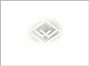 Wakefield “W” Diamond Logo